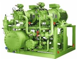 Bitzer Pack IIAR 2017 01.jpg